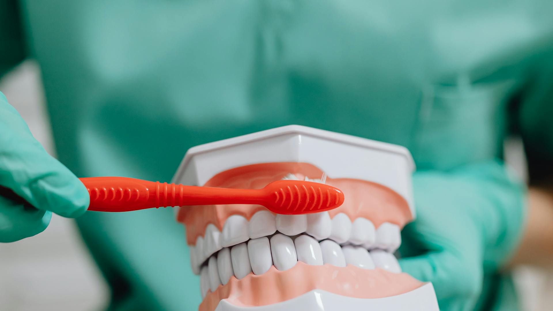 pexels-photo-6627315